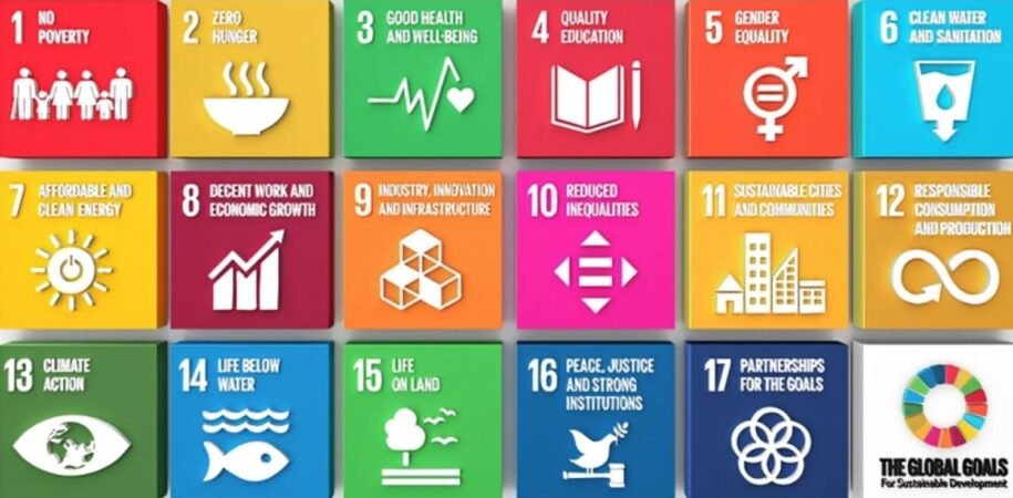 7 Ways Sustainable Development Goals (SDGs) Are Shaping a Greener Future